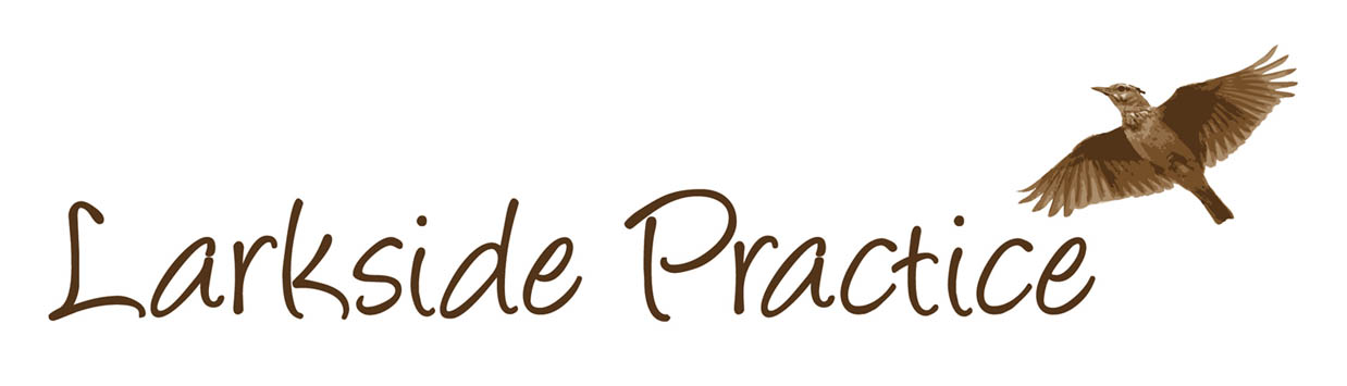 Organisation Logo